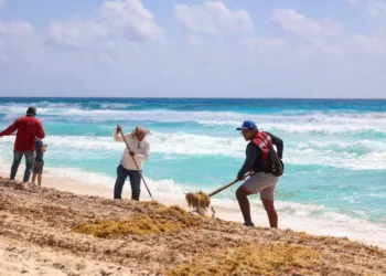 Cancún supera las 15 mil toneladas de sargazo recolectadas en lo que va del año