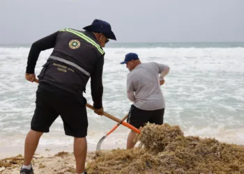 Cancún mantiene a raya el sargazo: suman más de 16 mil toneladas recolectadas