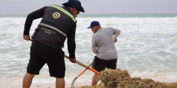 Cancún mantiene a raya el sargazo: suman más de 16 mil toneladas recolectadas