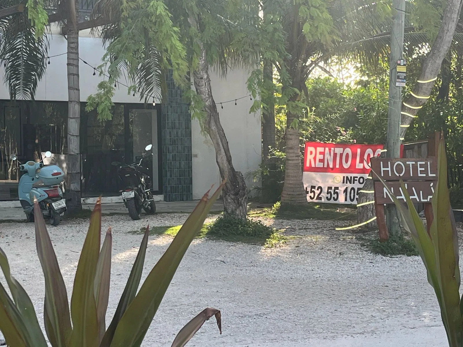 Despidos aumentan en Tulum