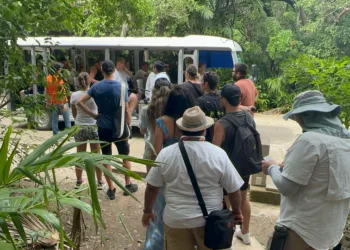 Piden regreso del trenecito turístico en Tulum