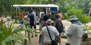 Piden regreso del trenecito turístico en Tulum
