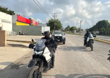 Hallan 46 pares de placas vehiculares abandonadas en Cielo Nuevo; autoridades descartan reporte de robo