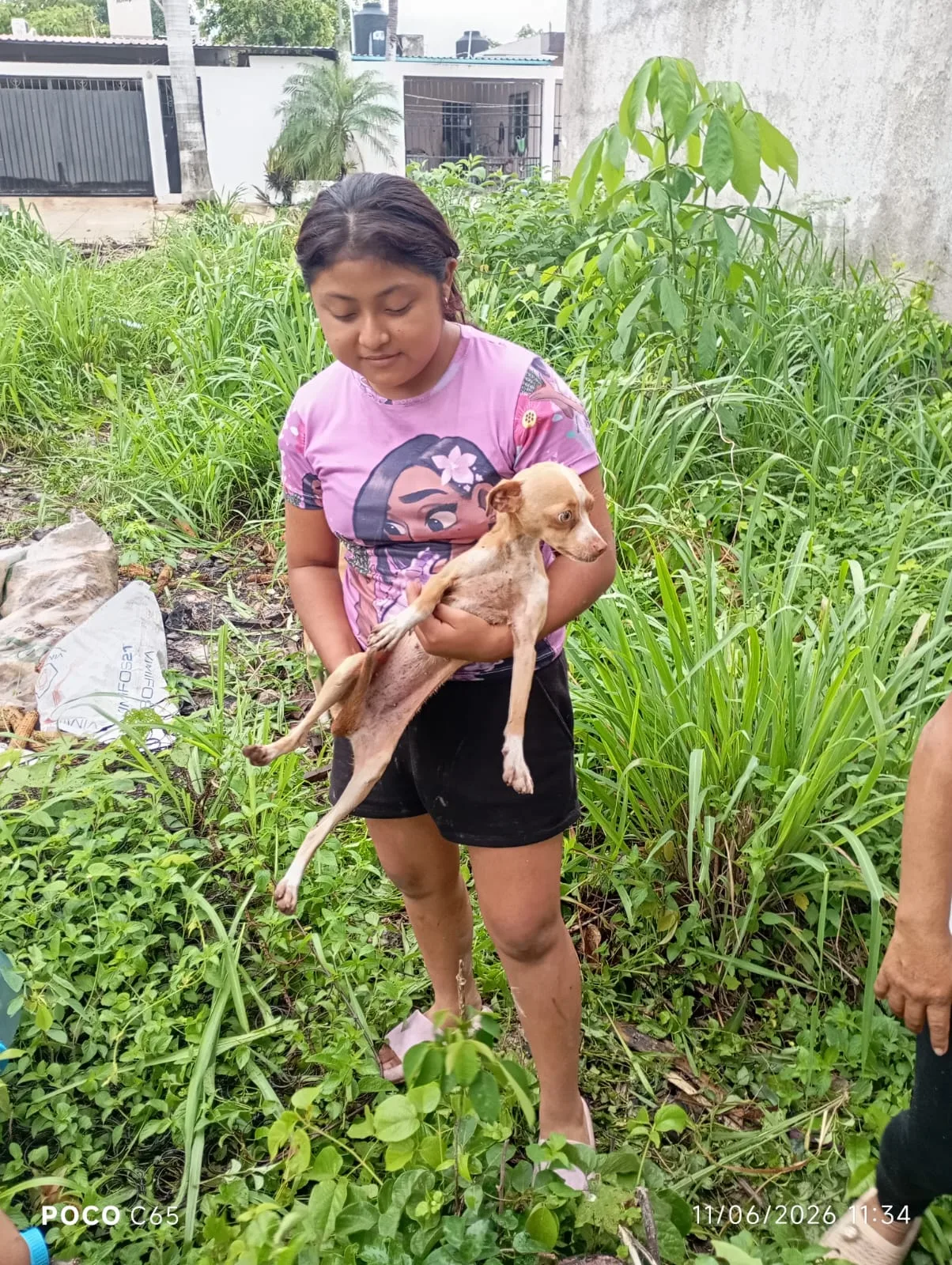 Cachorra cae en un cenote y es rescatada por Bomberos tras el desesperado llamado de una niña