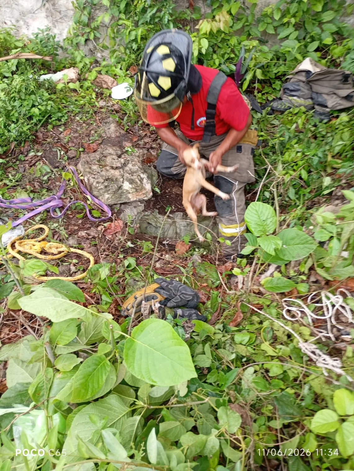 Cachorra cae en un cenote y es rescatada por Bomberos tras el desesperado llamado de una niña