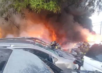 Fuego devora carros de deshuesadero en Cancún