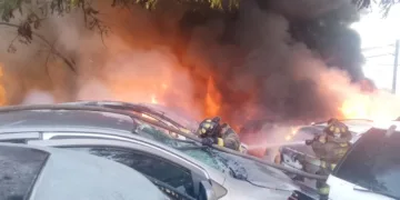 Fuego devora carros de deshuesadero en Cancún