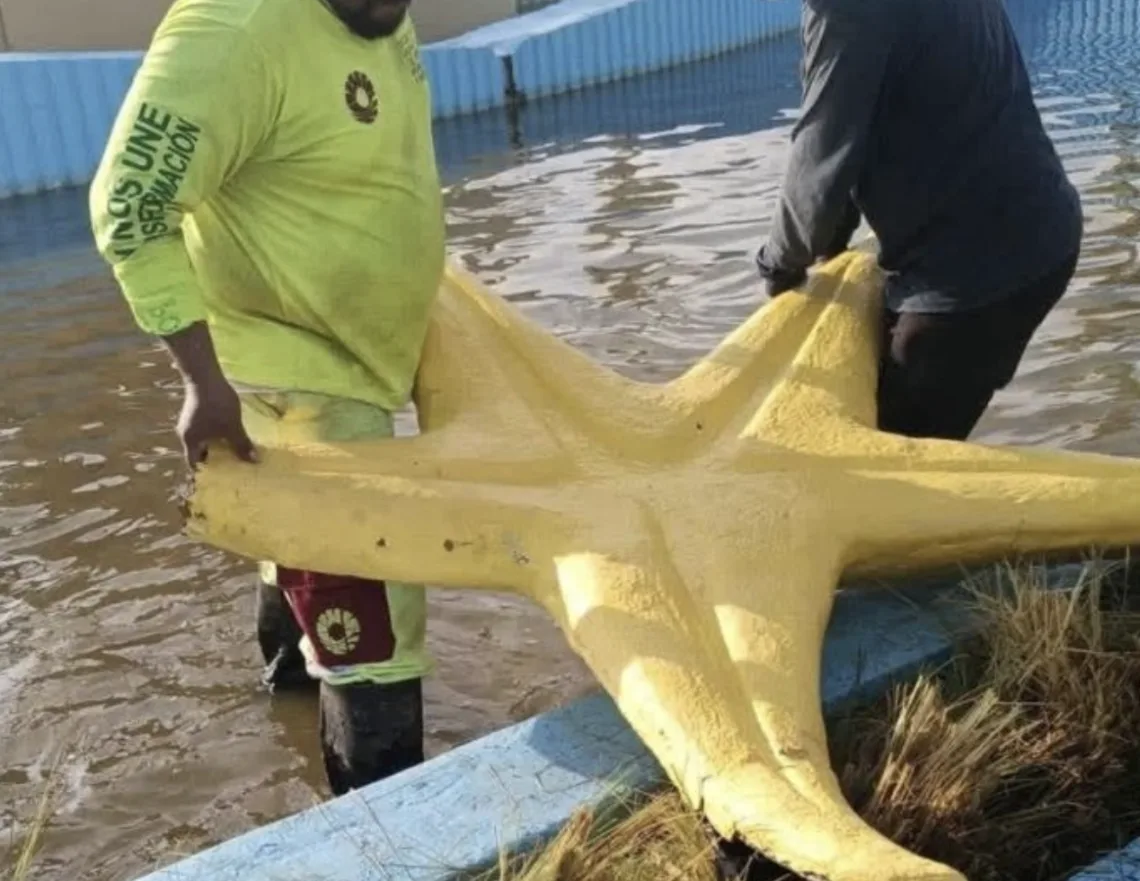 Festejos patrios en Cancún causan daños a la Glorieta del Ceviche