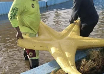 Festejos patrios en Cancún causan daños a la Glorieta del Ceviche