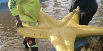 Festejos patrios en Cancún causan daños a la Glorieta del Ceviche