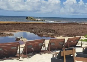 Presentan propuesta para frenar contingencia por sargazo en Tulum