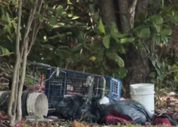 Hallan cuerpo ensabanado junto a carrito de súper en Cancún