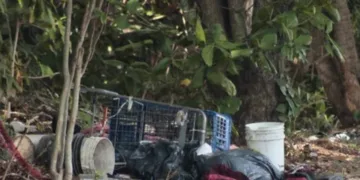 Hallan cuerpo ensabanado junto a carrito de súper en Cancún