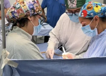 IMSS Quintana Roo realiza segunda donación multiorgánica del 2026