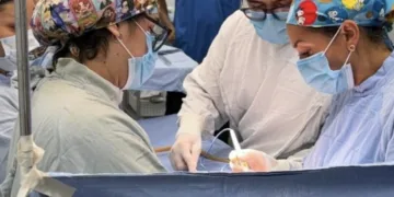 IMSS Quintana Roo realiza segunda donación multiorgánica del 2026