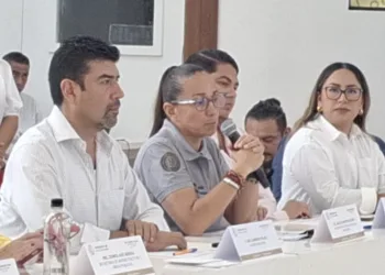 Playa del Carmen podría sancionar a CFE por dejar basura de podas