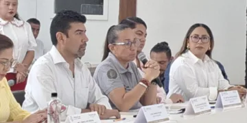Playa del Carmen podría sancionar a CFE por dejar basura de podas