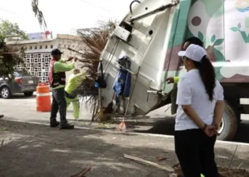 Retiran 97 toneladas de basura de basurero clandestino en Cancún