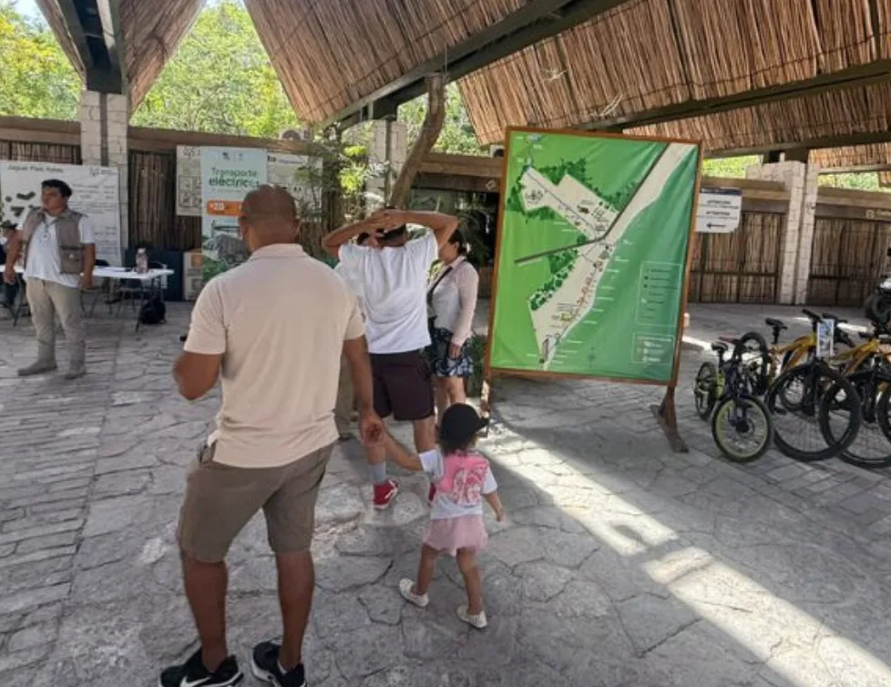 Parque del Jaguar en Tulum: acceso gratuito para visitantes nacionales