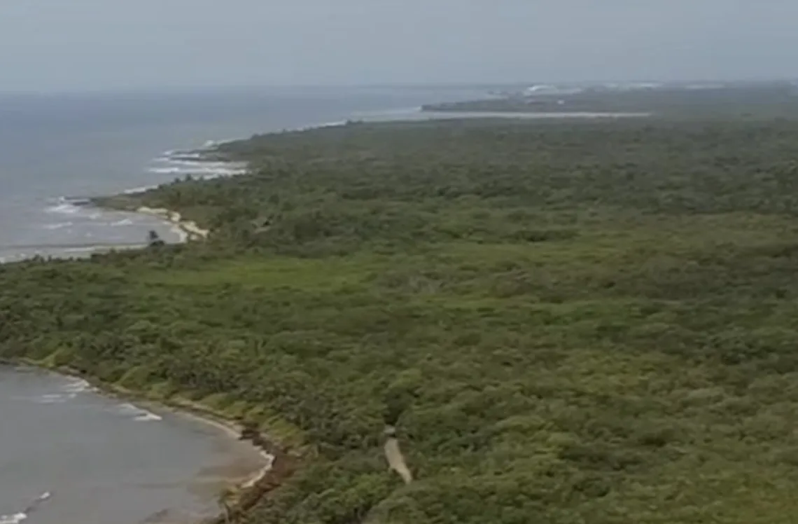 Ambientalistas defienden el manglar de Punta Venado en Paamul