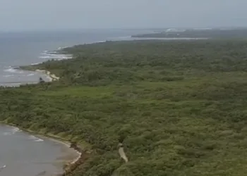 Ambientalistas defienden el manglar de Punta Venado en Paamul
