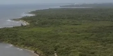 Ambientalistas defienden el manglar de Punta Venado en Paamul