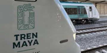 Tren Maya en Playa del Carmen: abren corridas y ruta hacia el centro