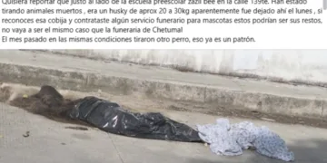 Hallan restos de perro en jardín de niños Zazil Beé de Cancún
