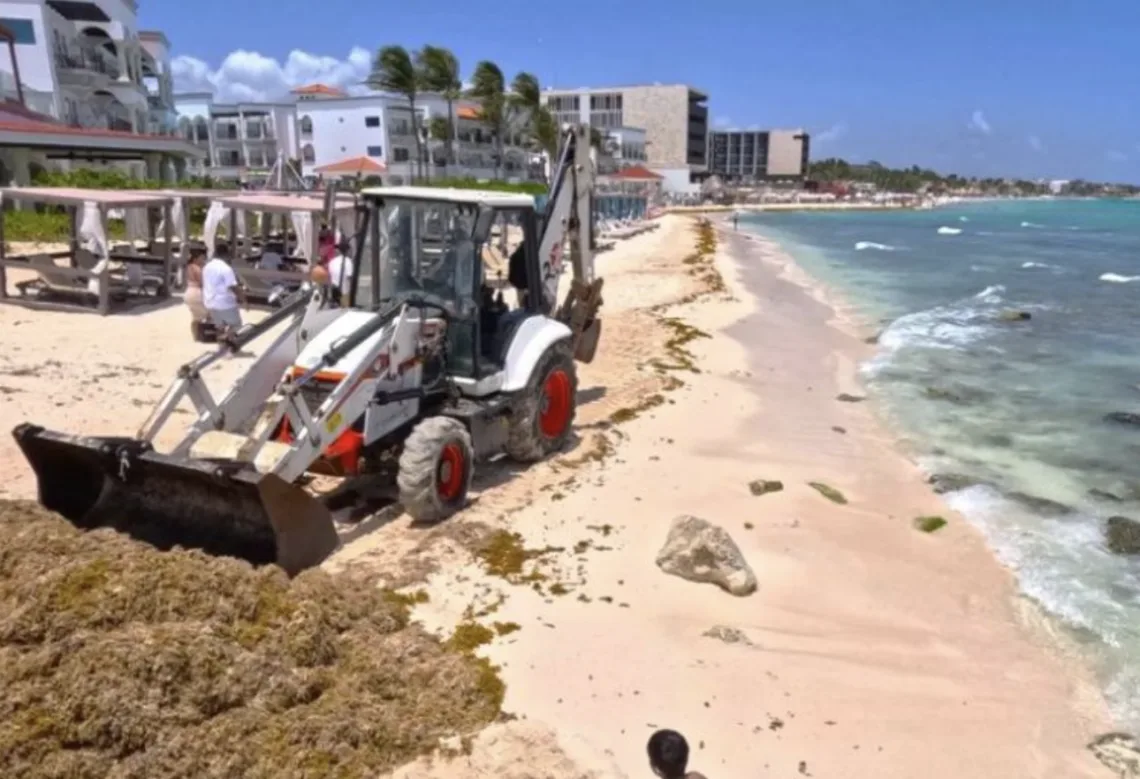 Hoteleros de Quintana Roo exigen un plan federal contra el sargazo