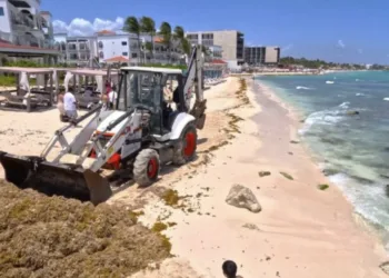 Hoteleros de Quintana Roo exigen un plan federal contra el sargazo
