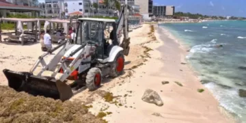Hoteleros de Quintana Roo exigen un plan federal contra el sargazo
