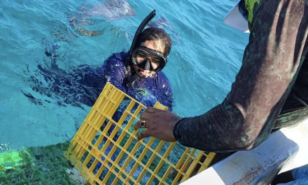 Sargazo afecta la pesca de langosta en Punta María Elena, FCP