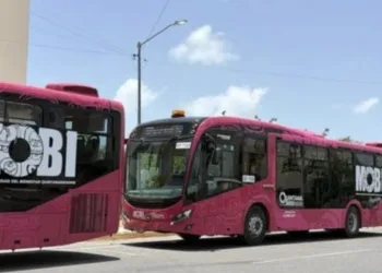 Mobi iniciará pruebas de cobro digital en el transporte de Cancún