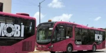 Mobi iniciará pruebas de cobro digital en el transporte de Cancún