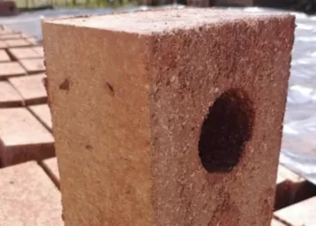 Construirán refugio animal con bloques de sargazo en Cancún