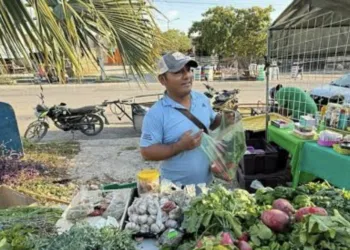 Caen las ventas en tianguis de Cancún por el calor de este verano