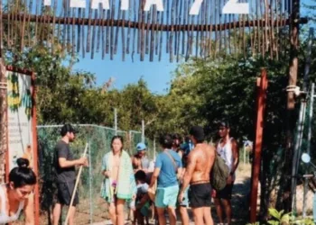 Reforestan la playa 72 Chenzubul en la colonia Colosio en Solidaridad