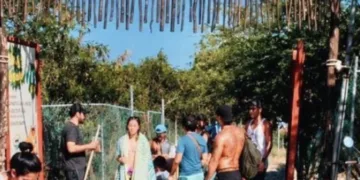 Reforestan la playa 72 Chenzubul en la colonia Colosio en Solidaridad