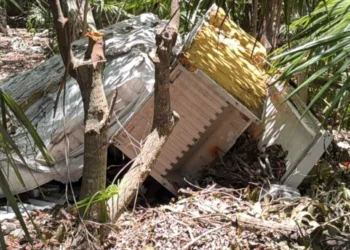 Exhortan a denunciar tiraderos clandestinos de basura en Tulum