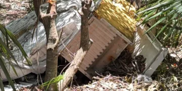 Exhortan a denunciar tiraderos clandestinos de basura en Tulum