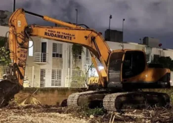 Denuncian tala ilegal en área verde de Palmas II en Playa del Carmen