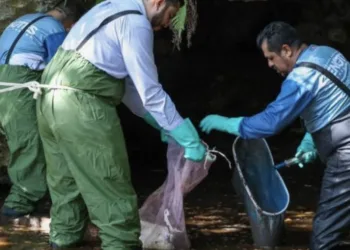 Alerta contaminación de cenotes urbanos y del acuífero en Cancún