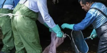 Alerta contaminación de cenotes urbanos y del acuífero en Cancún