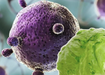 Brote de Ciclosporiasis en Hoteles de Quintana Roo: Lo que se Sabe
