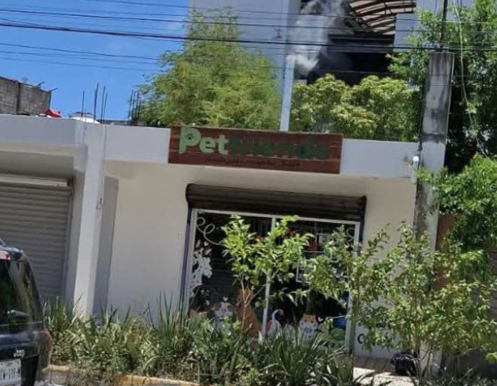 Denuncian Crematorio en Tulum por Humo Excesivo y Malos Olores