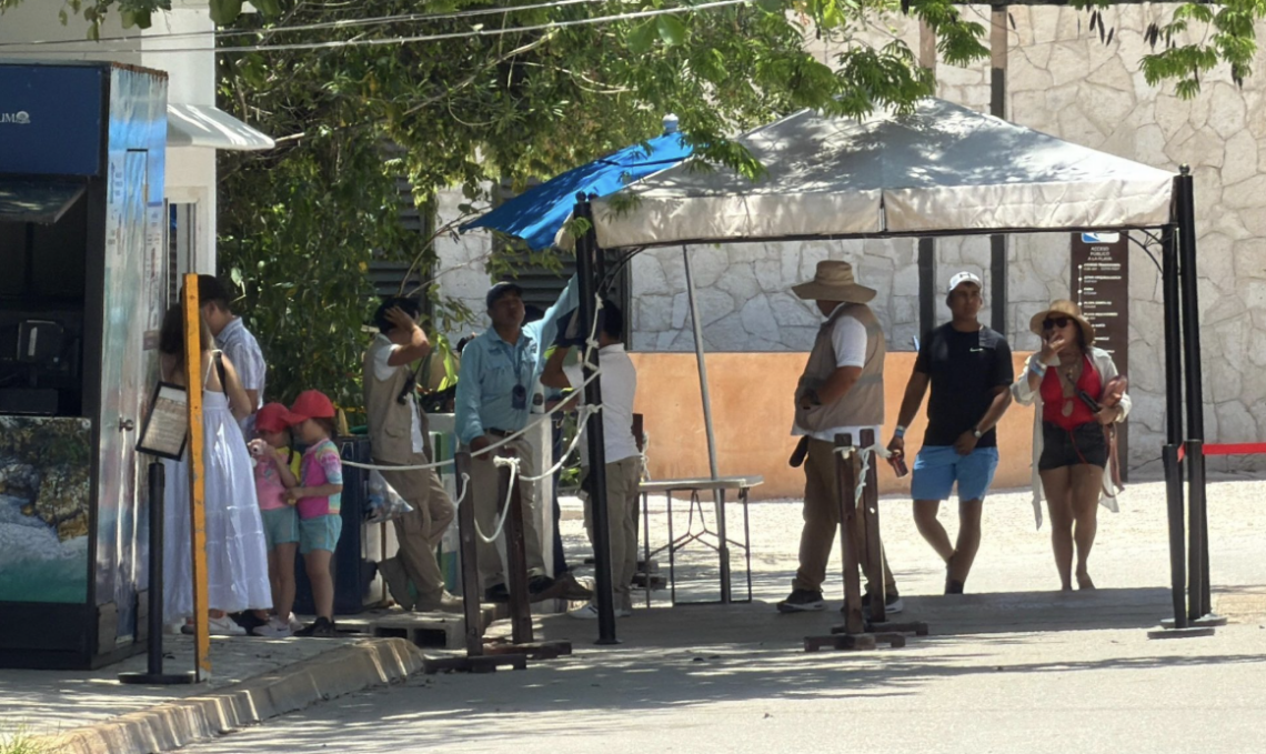Jaladores en Carretera 307 de Tulum: Denuncian Alto Riesgo Vial