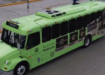Parque Cancún: Horarios y Guía para Viajar Gratis en Transporte