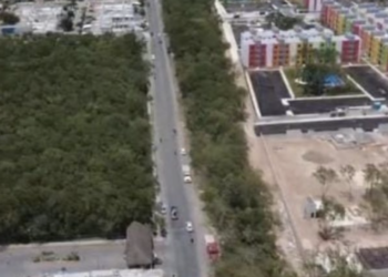 Denuncian Tala y Desmontes Ilegales en Playa del Carmen
