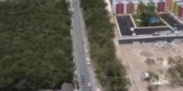 Denuncian Tala y Desmontes Ilegales en Playa del Carmen