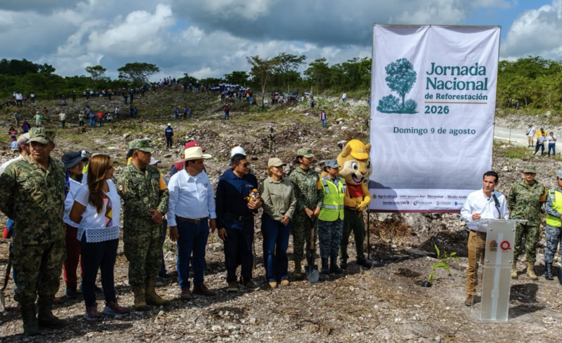 Quintana Roo reforestará más de 12 mil árboles este domingo